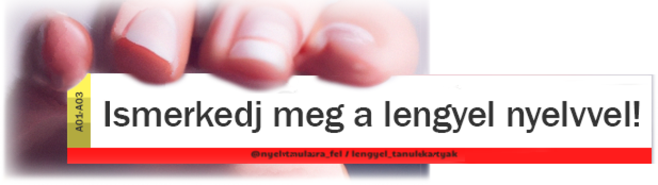 Ismerkedj meg a lengyel nyelvvel!
